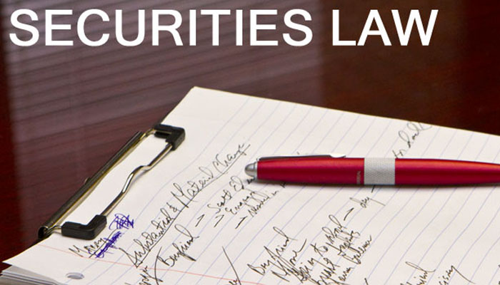 Law securities georgetown treatises steinberg marc understanding