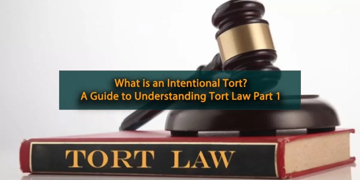 Tort torts intentional negligence liability tortious liabilities halt difference cases lawyer claims strict defences